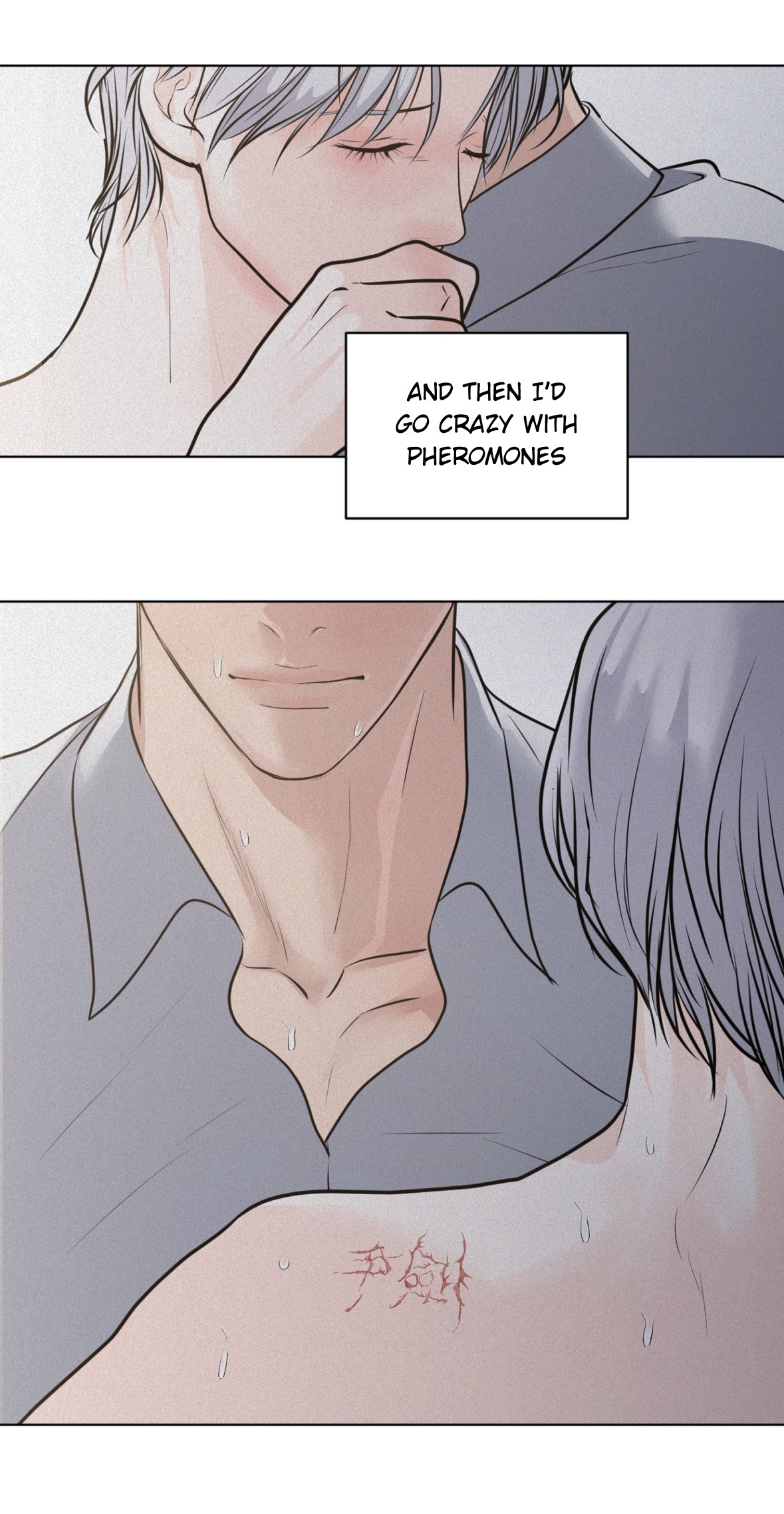 62127086 1179 2277 639924