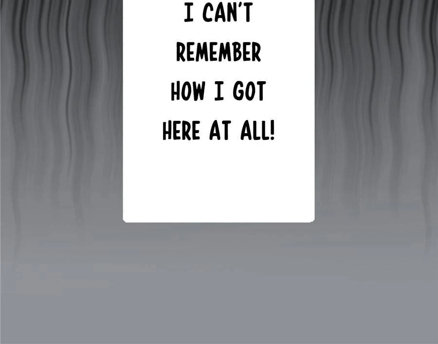 75869248 900 708 20264